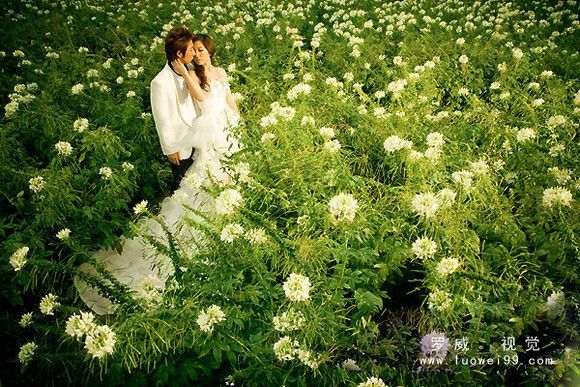 罗威视觉婚纱摄影推荐3