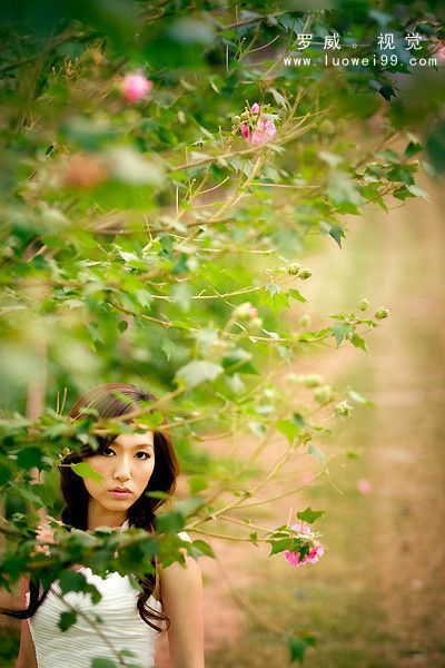 罗威视觉婚纱摄影推荐4