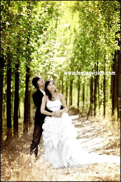 渡情小情侣结婚照2