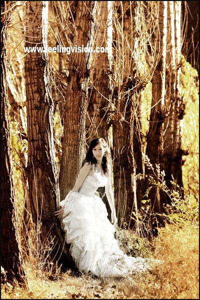 渡情小情侣结婚照3