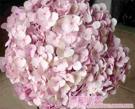 新娘手捧花之马蹄莲diy1