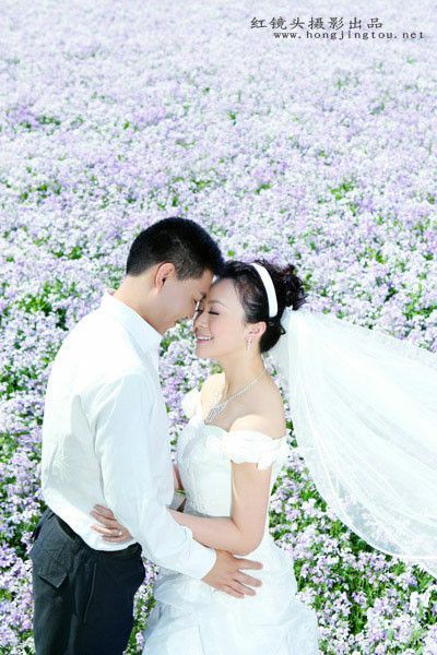 浪漫婚照推荐之花海寻梦1