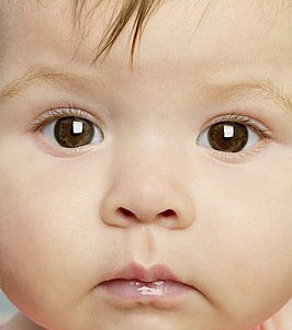 早产儿为何易发生视网膜病变